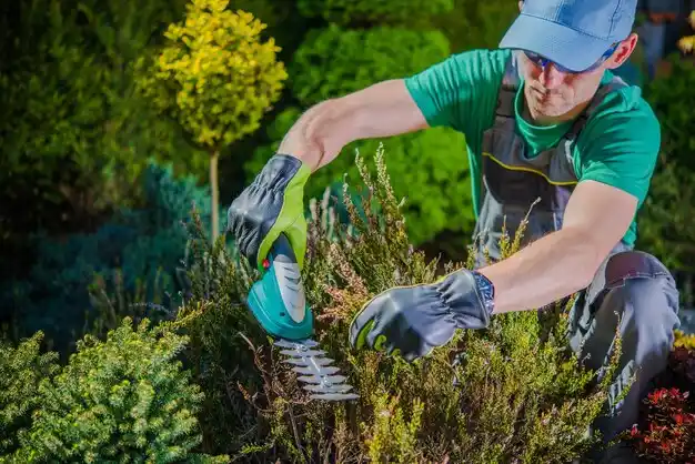 landscaping services Old Bethpage